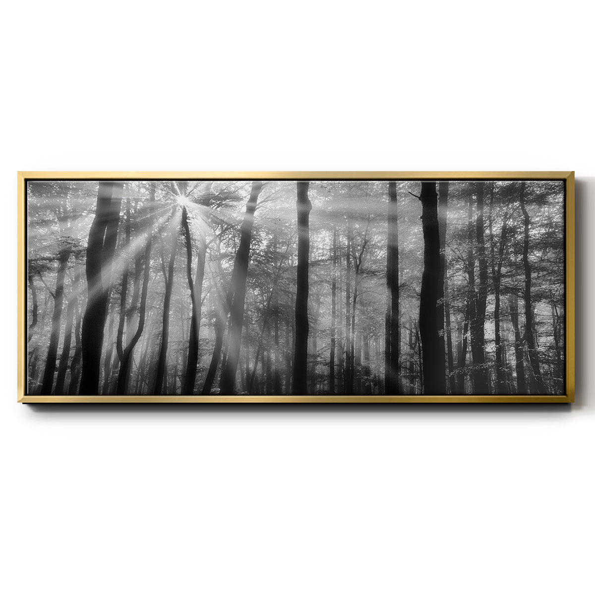 Breaking Through - Floater Framed Canvas Print