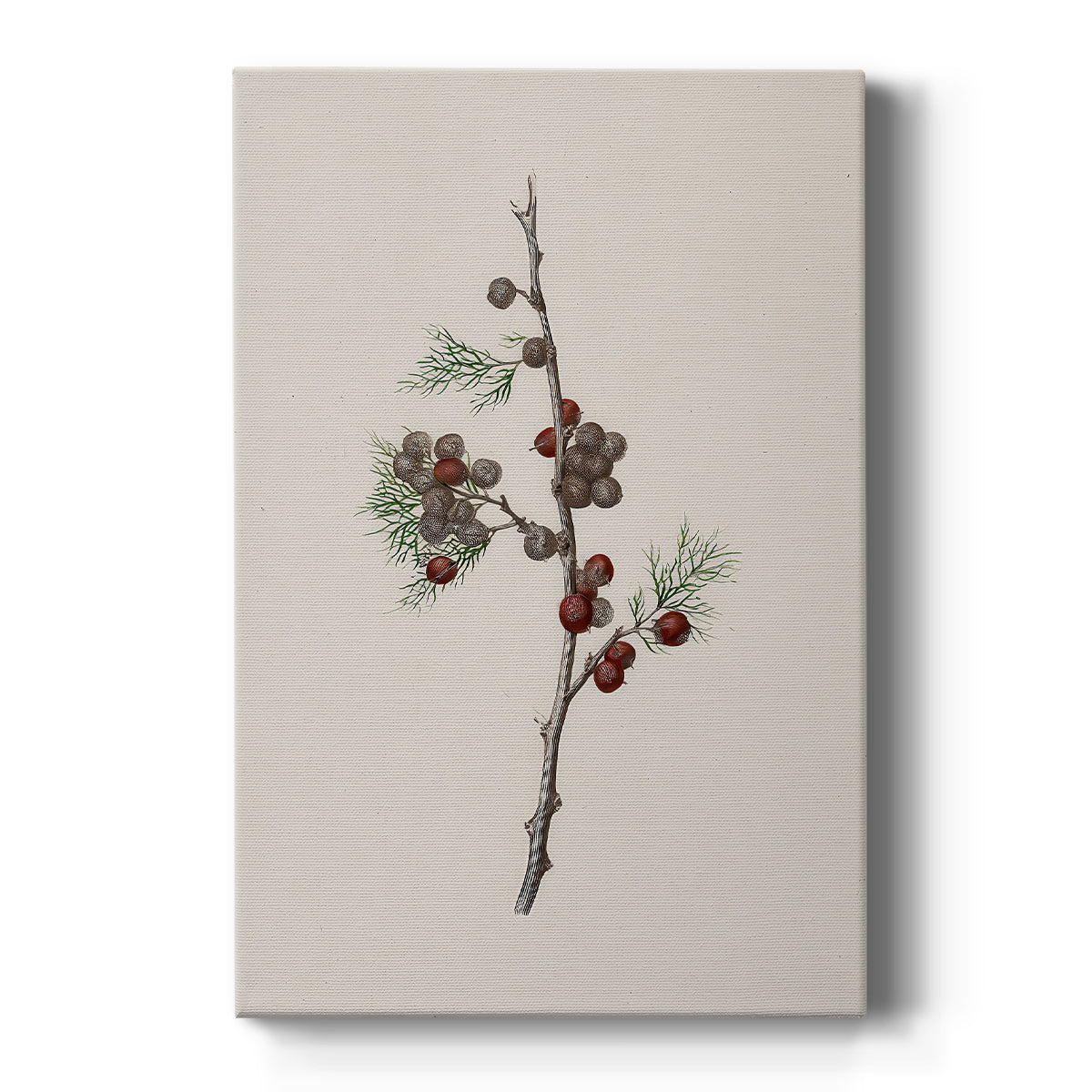 Pearled Lantern Serenade - Canvas Art Print