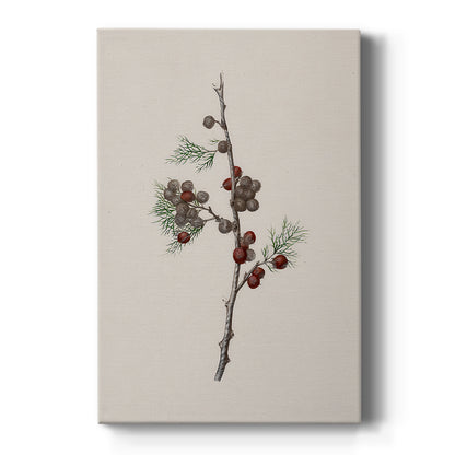 Pearled Lantern Serenade - Canvas Art Print