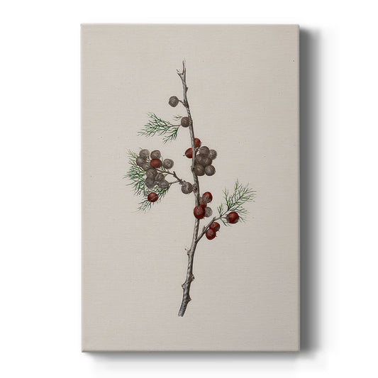 Pearled Lantern Serenade - Canvas Art Print
