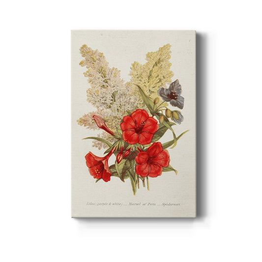 Antique Floral Bouquet V Premium Gallery Wrapped Canvas - Ready to Hang