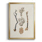 Knorr Shells & Coral V - Modern Framed Canvas Print