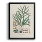 Botanical Society Ferns VII - Modern Framed Canvas Print