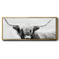 Highland Longhorn - Floater Framed Canvas Print
