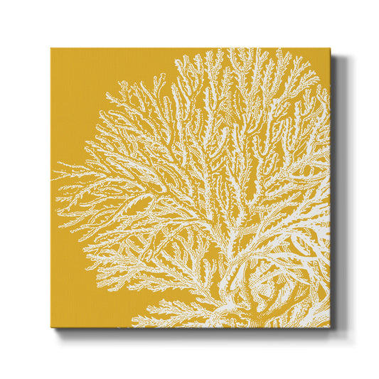 Saturated Coral I - Canvas Art Print