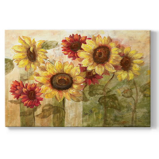 Sunflowers I Premium Gallery Wrapped Canvas - Ready to Hang