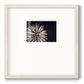 Sky Bloom- Premium Framed Print Double Matboard