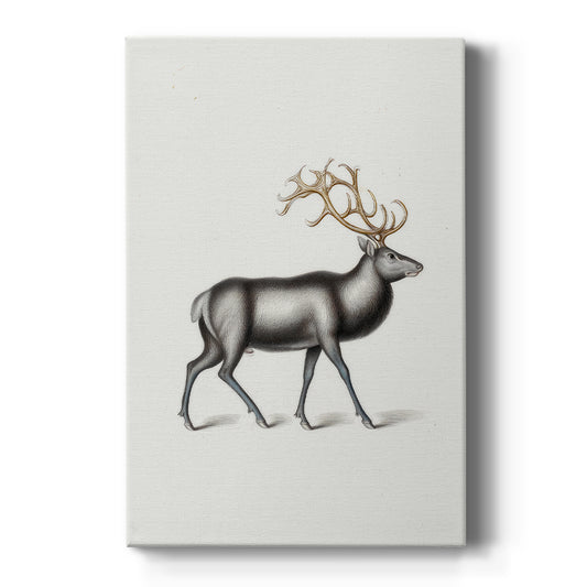 Frostlit Dawn at Night - Canvas Art Print