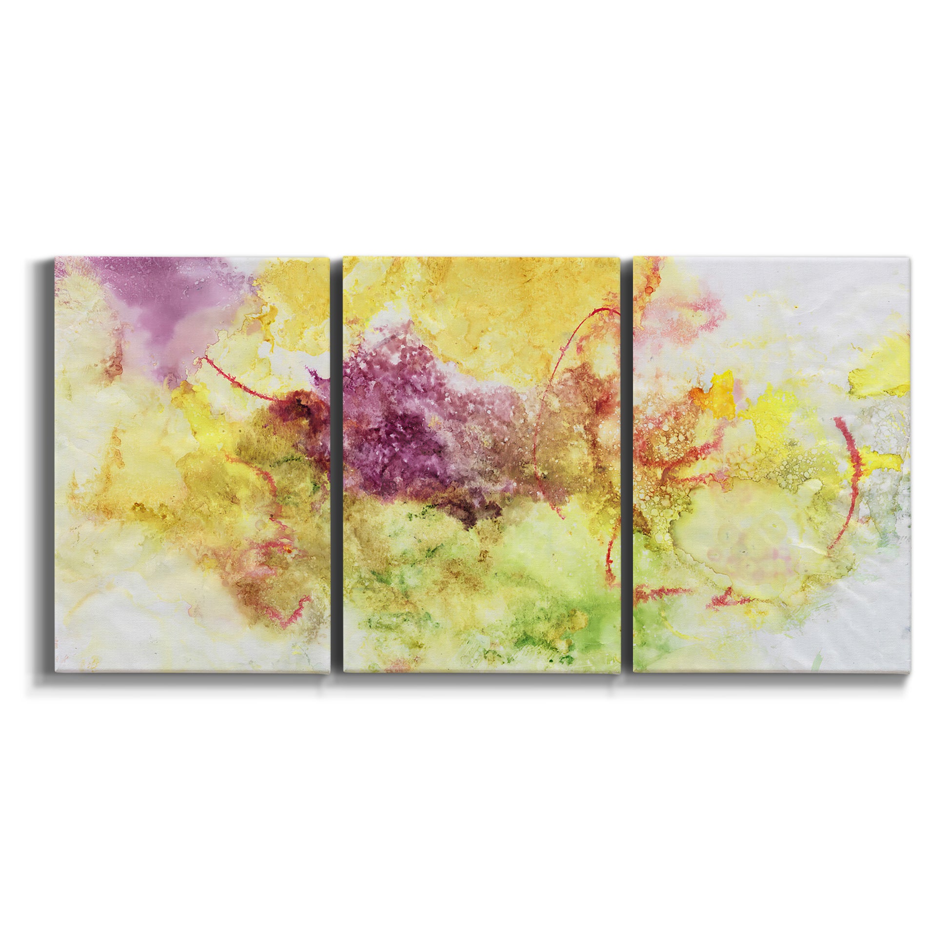 Three-panel canvas wall art featuring abstract floral rhythm composition on white background.