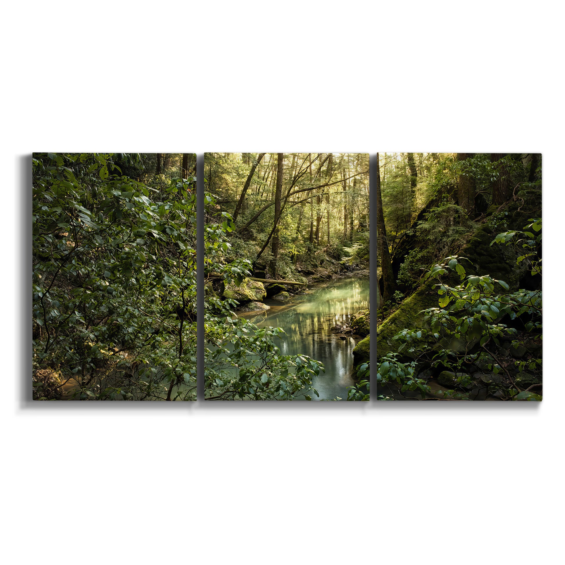 Three-panel canvas wall art featuring sun filtered woodland photograph on white background.
