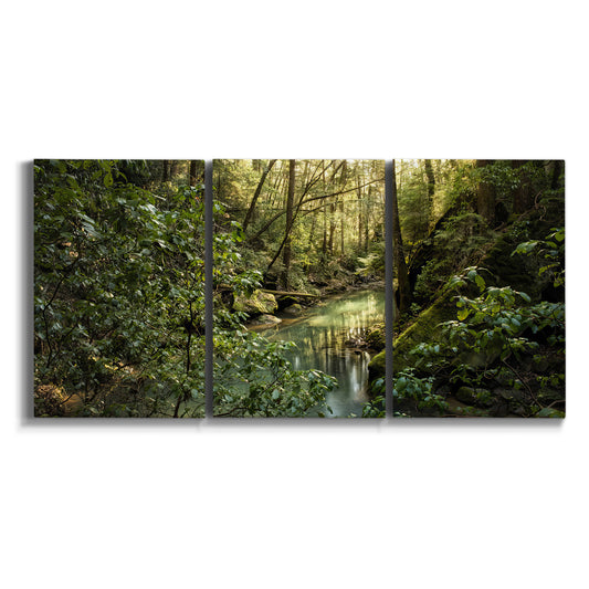 Three-panel canvas wall art featuring sun filtered woodland photograph on white background.