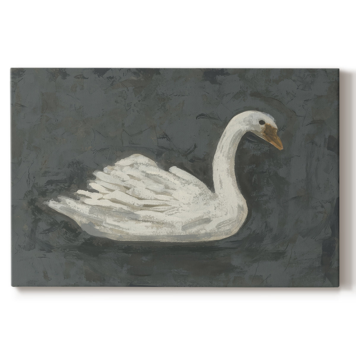 swan,white swan,dark background,artwork,graceful,animal,nature,beauty,serene,feather,gliding,elegant,texture,wildlife,painting,aquatic,illustration,art,calm,soft,peaceful,representation,bird,natural,swimming,colors,soft hues,simplicity,habitat,art style,creativity,portrait,realism,visual art,aesthetics,quiet,tranquil,soothing,flowing