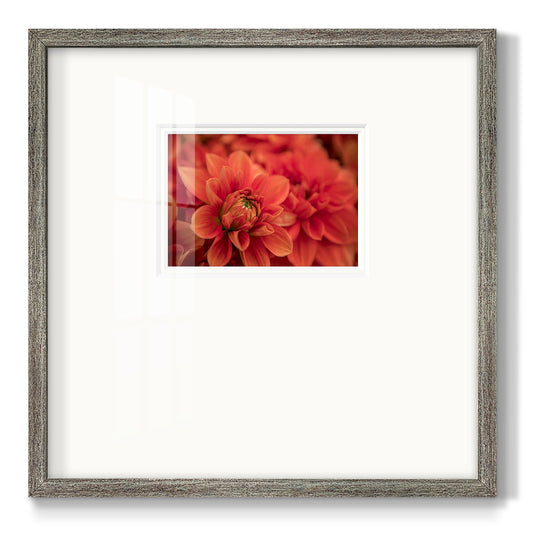 Spring Fire- Premium Framed Print Double Matboard