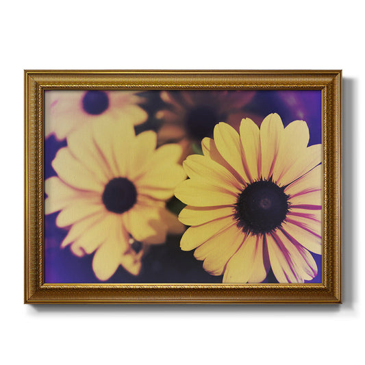 Susans IV - Ornate Framed Canvas Print