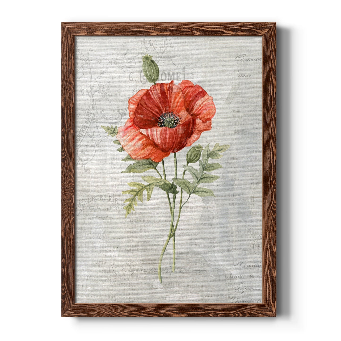 Linen Poppy - Premium Canvas Framed in Barnwood - Ready to Hang