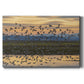 Sunset Flight Premium Gallery Wrapped Canvas - Ready to Hang