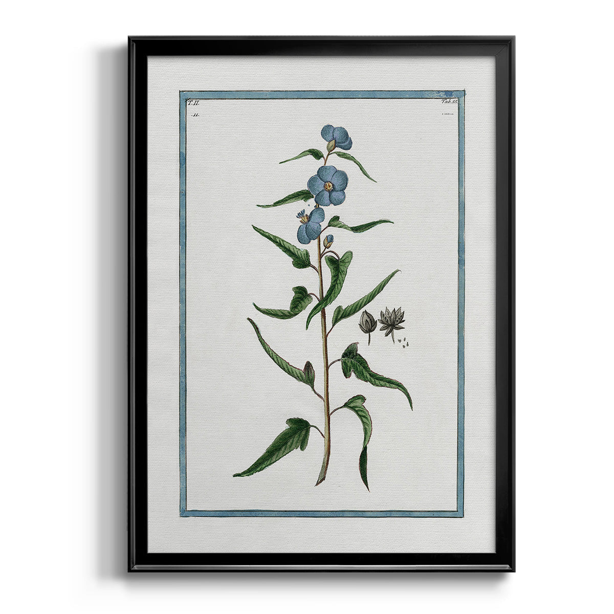 Shabby Chic Botanical I - Modern Framed Canvas Print