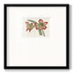 Amaryllis Varietals IV Premium Framed Print Double Matboard