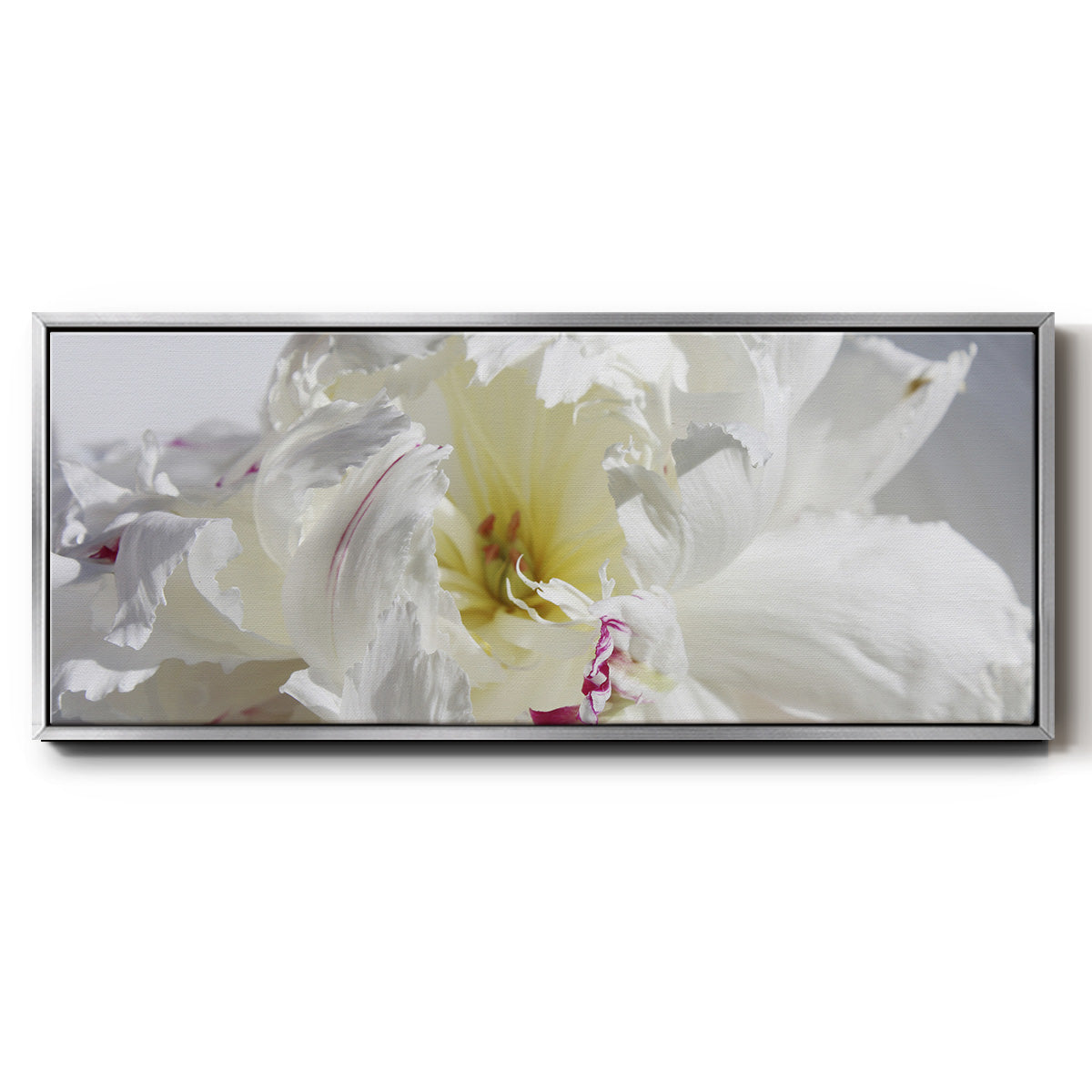 Breathless IV - Floater Framed Canvas Print