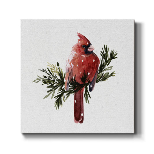 Cardinal with Snow I-Premium Gallery Wrapped Canvas - Ready to Hang