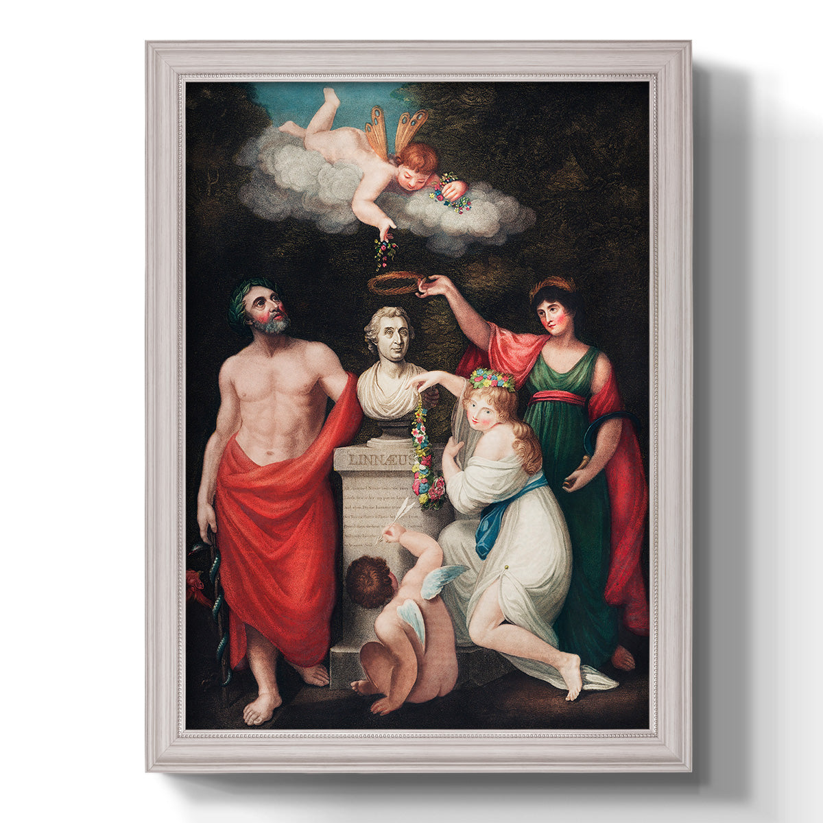 Classical allegorical painting honoring Linnaeus by Robert John Thornton printed on canvas in an ornate weathered white frame with a vertical orientation.