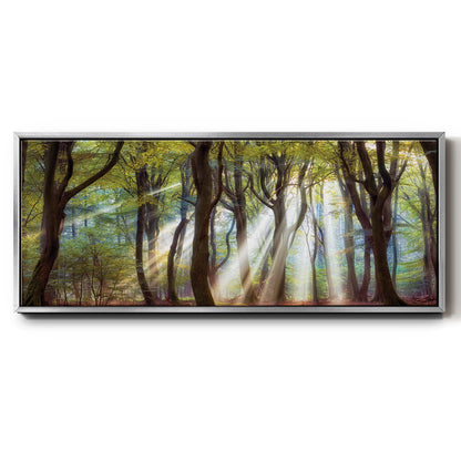 Majestic Morning - Floater Framed Canvas Print