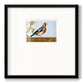 Golden Finch - Double Matboard Framed Print