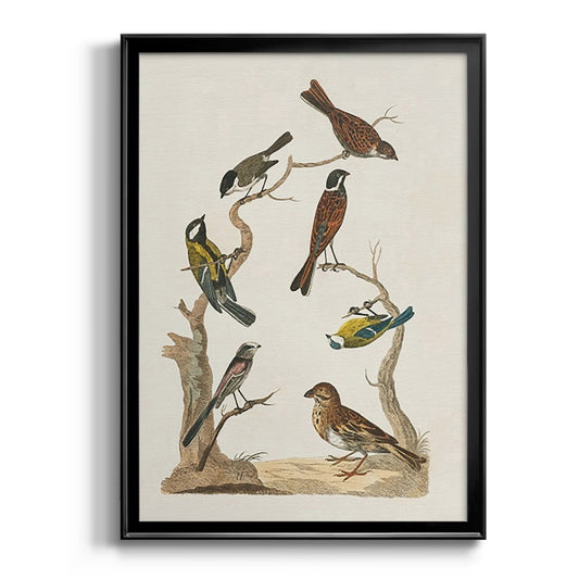 Antique Birds in Nature II - Modern Framed Canvas Print
