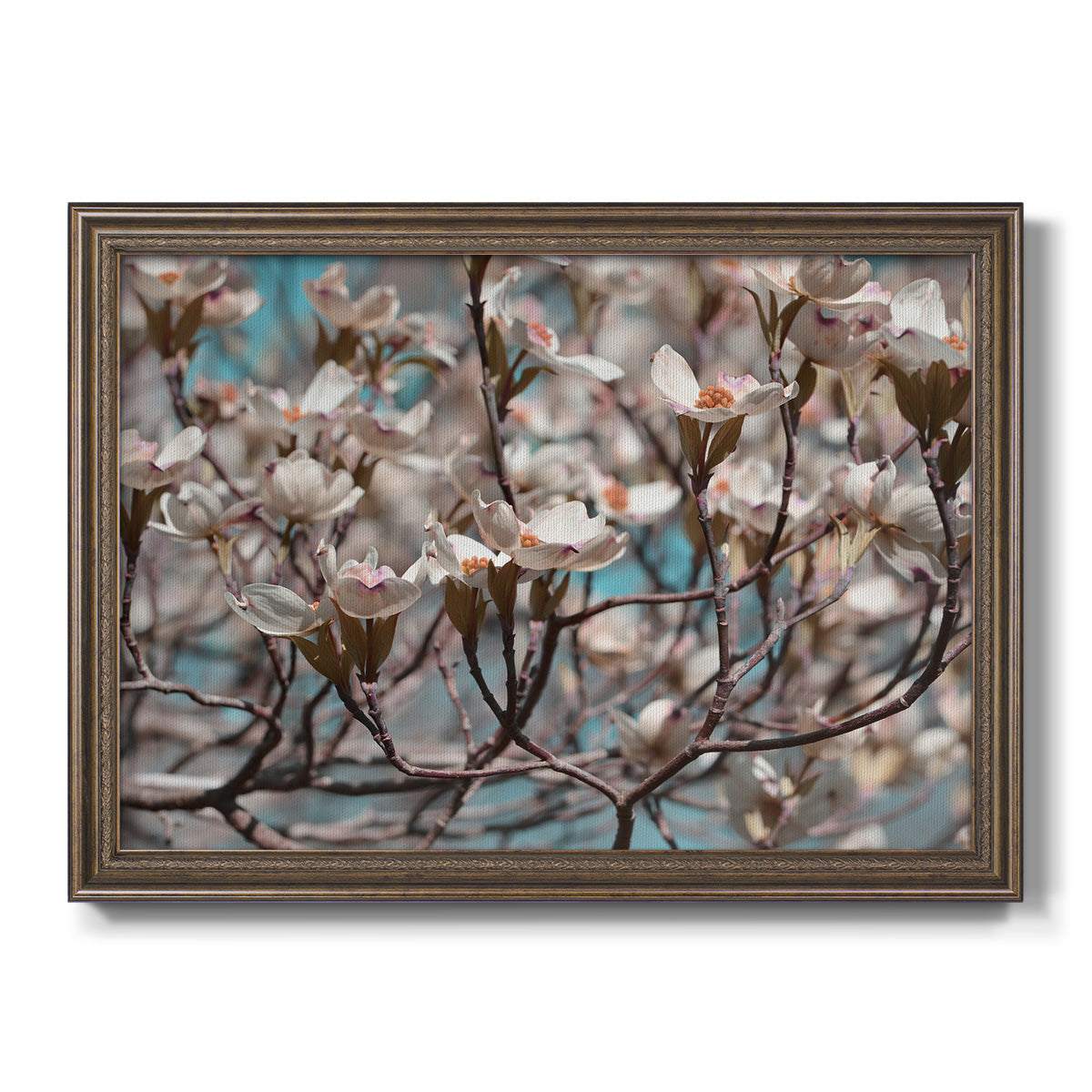 Dogwood Spring I Premium Framed Canvas- Ready to Hang