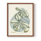 Buchoz Tropicals VI - Restickable Framed Art Print
