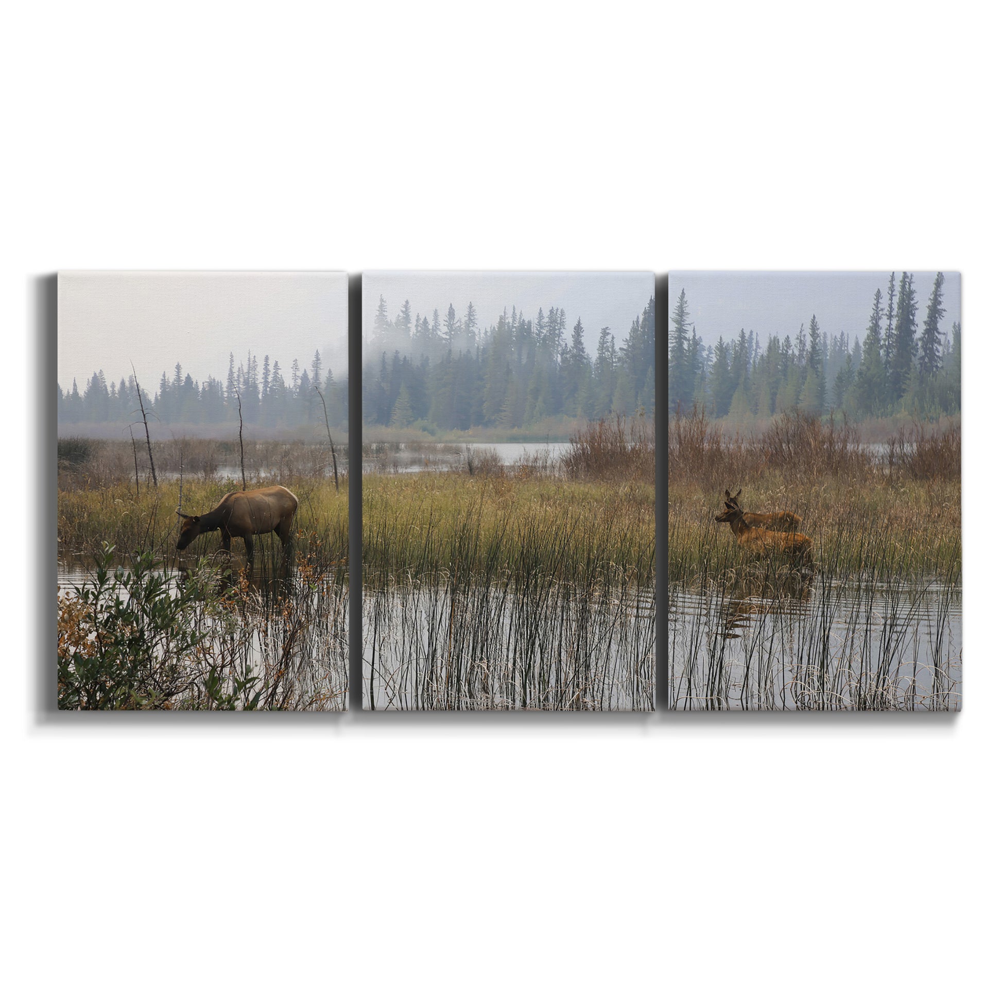 Three-panel canvas wall art featuring wildlife walking through open field on white background.