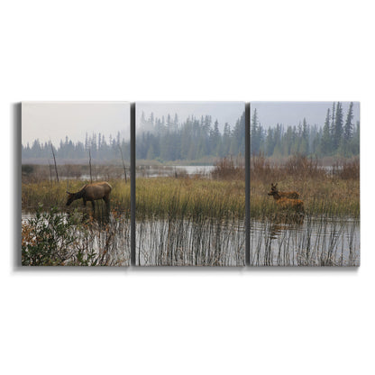 Three-panel canvas wall art featuring wildlife walking through open field on white background.