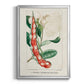 Turpin Tropical Botanicals VIII - Modern Framed Canvas Print