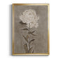Pretty As A Peony I - Modern Framed Canvas Print