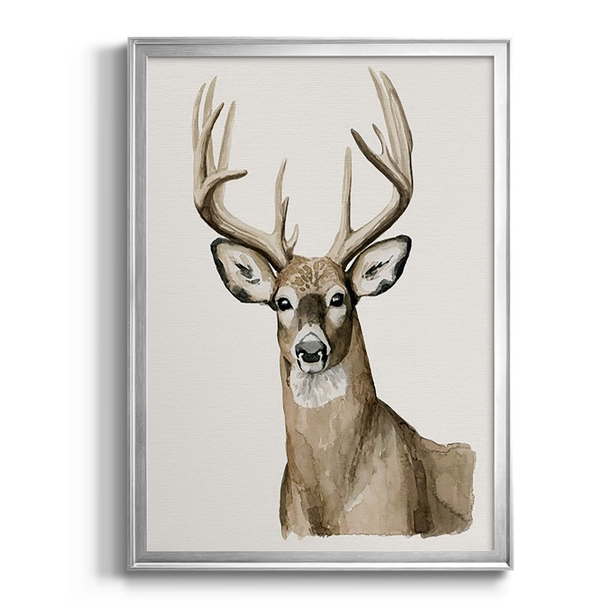 Handsome Whitetail I - Modern Framed Canvas Print