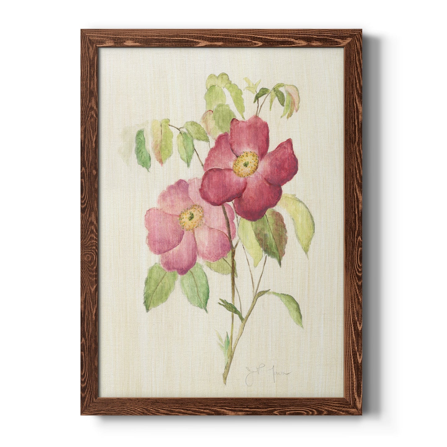 Dusty Rose II - Barnwood Framed Canvas Print