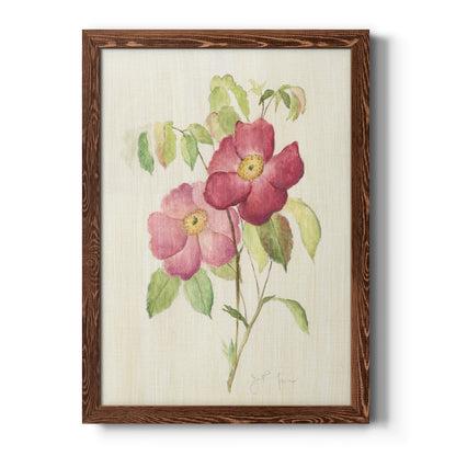 Dusty Rose II - Barnwood Framed Canvas Print