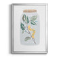 Nature Jar I - Modern Framed Canvas Print