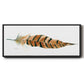 Tail Feather I - Floater Framed Canvas Print