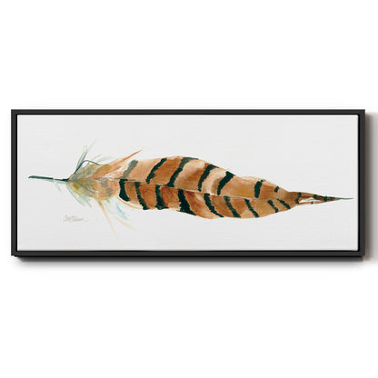 Tail Feather I - Floater Framed Canvas Print