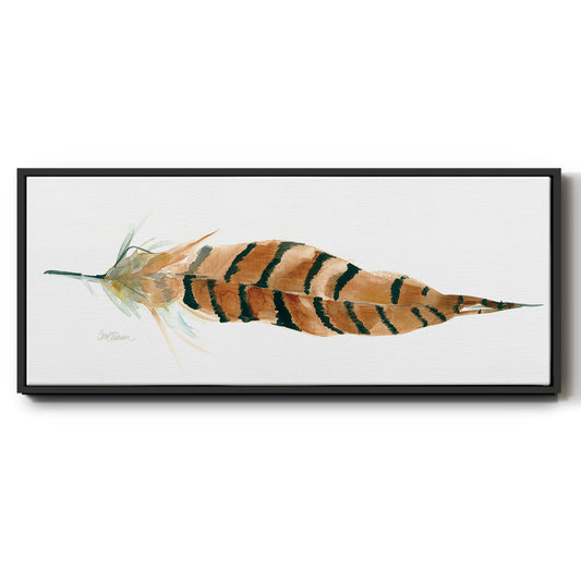 Tail Feather I - Floater Framed Canvas Print