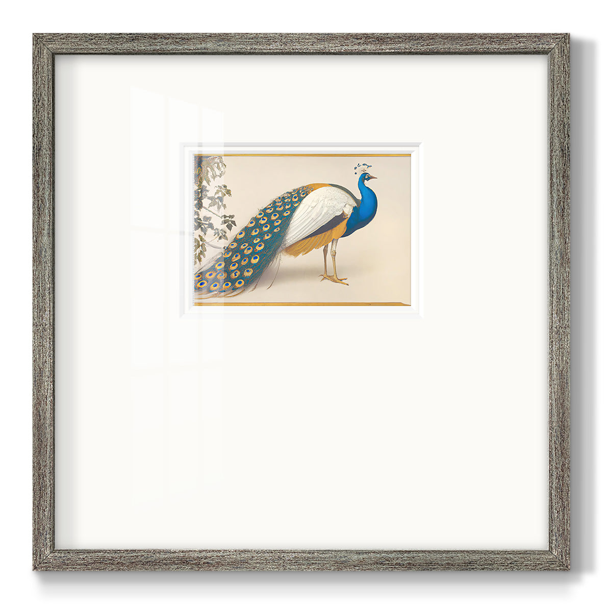 Golden Peacock III Premium Framed Print Double Matboard