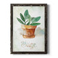 Potted Sage - Barnwood Framed Canvas Print