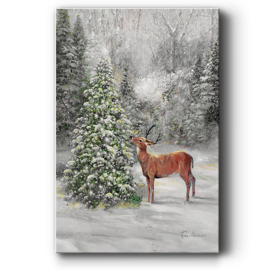 Winter Wonder - Canvas Art Print