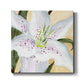 White Lily I-Premium Gallery Wrapped Canvas - Ready to Hang