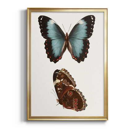 Antique Blue Butterflies IV - Modern Framed Canvas Print