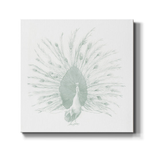Sage Peacock I - Canvas Art Print