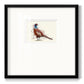 Pheasant Splash 5 Premium Framed Print Double Matboard