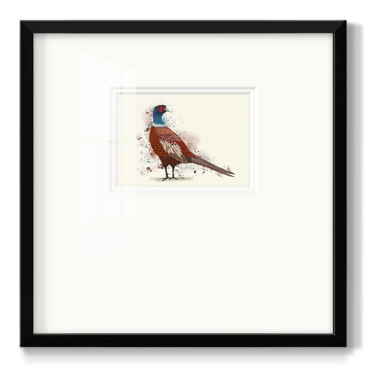 Pheasant Splash 5 Premium Framed Print Double Matboard