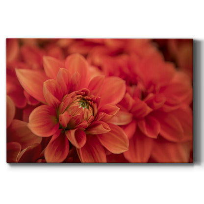 Spring Fire - Canvas Art Print